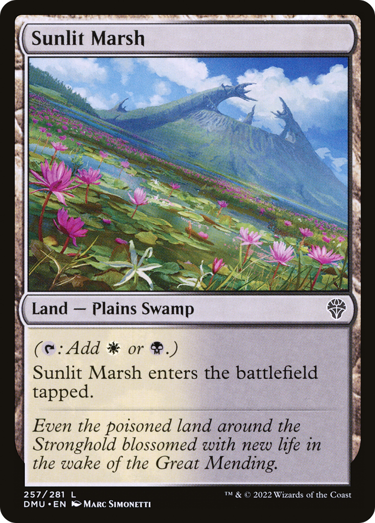 Sunlit Marsh [DMU - 257]