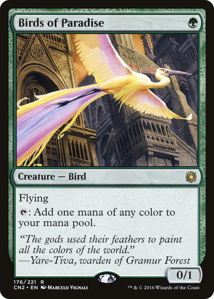 Birds of Paradise [CN2 - 176]