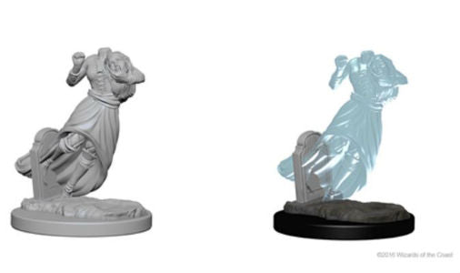 Nolzur's Marvelous Miniatures - Ghost & Banshee
