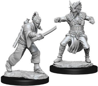 Nolzur's Marvelous Miniatures - Human Monk
