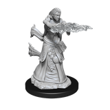 Nolzur's Marvelous Miniatures - Human Wizard (female)