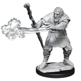 Nolzur's Marvelous Miniatures - Firbolg Druid (male)