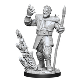 Nolzur's Marvelous Miniatures - Firbolg Druid (male)