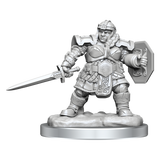 Nolzur's Marvelous Miniatures - Dwarf Fighter (female)
