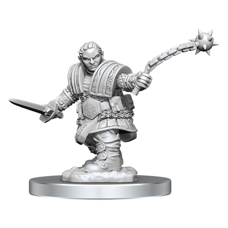 Nolzur's Marvelous Miniatures - Dwarf Fighter (female)