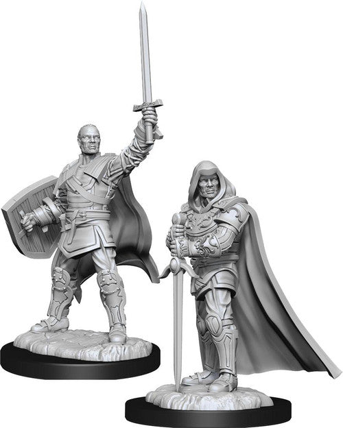 Nolzur's Marvelous Miniatures - Human Paladin (male)