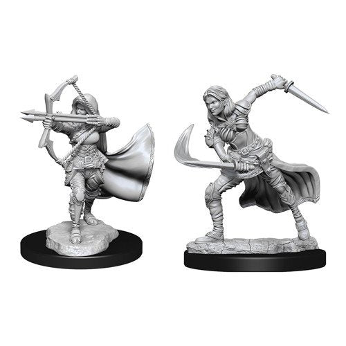 Nolzur's Marvelous Miniatures - Air Genasi