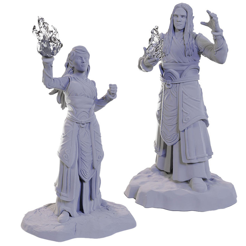 Nolzur's Marvelous Miniatures - Elf Wizards