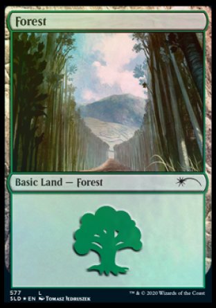 Forest (Walls) (577) [Secret Lair Drop Promos]