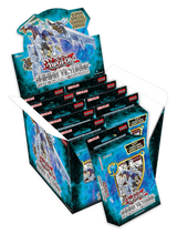 Shining Victories - Special Edition Display