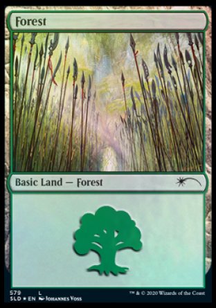 Forest (Elves) (579) [Secret Lair Drop Promos]