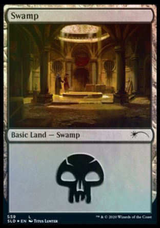 Swamp (Rogues) (559) [Secret Lair Drop Promos]