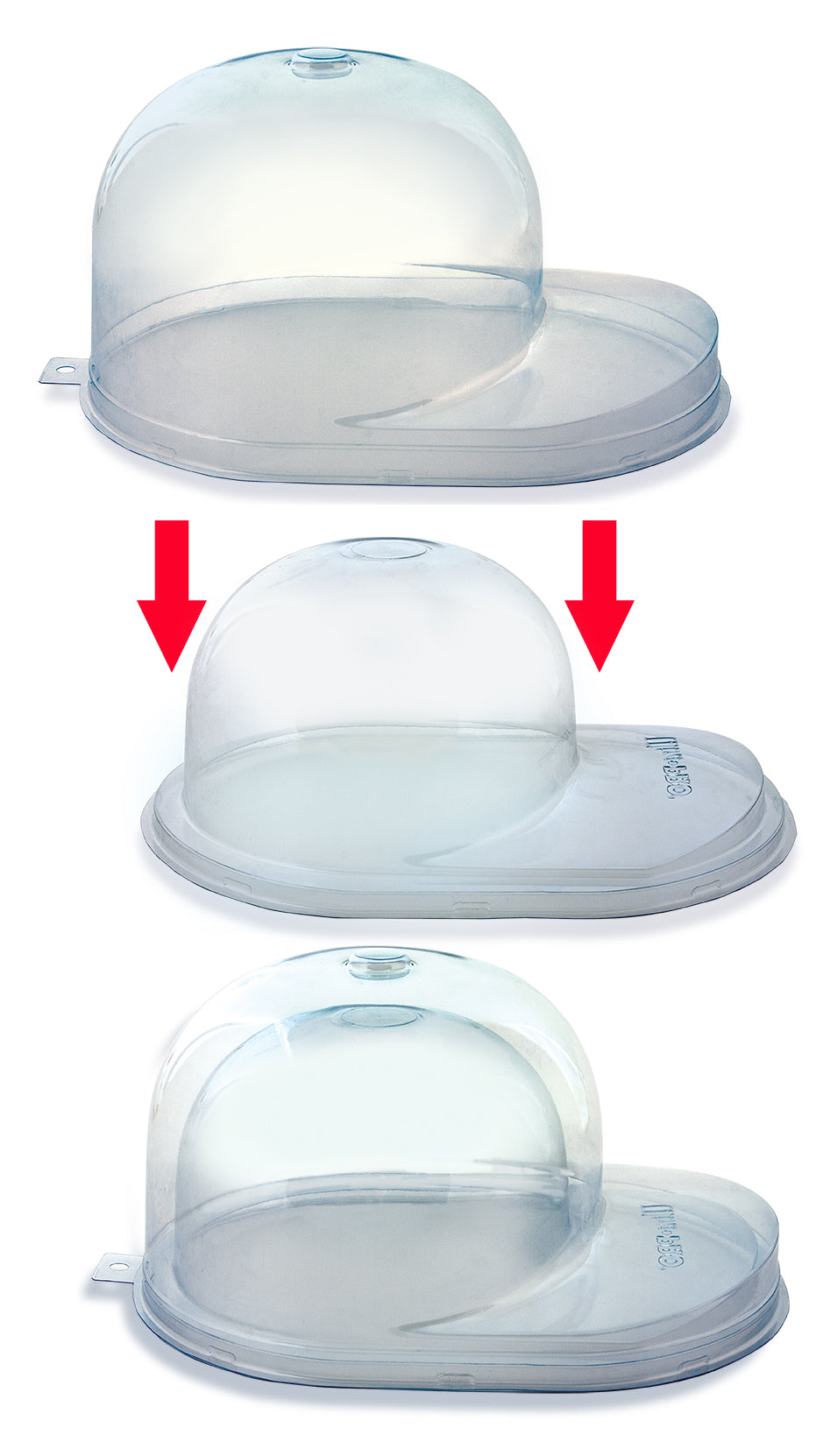 Ultra PRO: Display - Baseball Cap