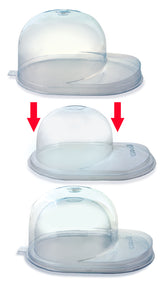 Ultra PRO: Display - Baseball Cap